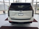 White[Crystal White Tricoat] 2023 Cadillac Escalade Rear of Vehicle Photo in Edmonton AB