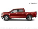 AREA 51 2023 Ford F-150 Left Side Photo in Dartmouth NS