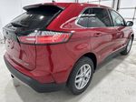 Red[Burgundy Velvet Metallic Tinted Clearcoat] 2024 Ford Edge Right Rear Corner Photo in Dartmouth NS