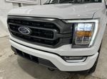 White[Oxford White] 2023 Ford F-150 Left Front Head Light / Bumper and Grill in Dartmouth NS