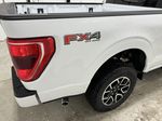 White[Oxford White] 2023 Ford F-150 Right Rear Corner Photo in Dartmouth NS
