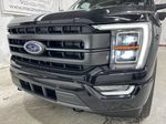 Black[Agate Black Metallic] 2023 Ford F-150 Left Front Head Light / Bumper and Grill in Dartmouth NS