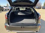 Black[Caviar] 2017 Lexus RX 350 Trunk / Cargo Area Photo in Edmonton AB