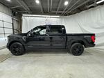 Black[Agate Black Metallic] 2022 Ford F-150 Left Side Photo in Dartmouth NS