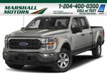Silver[Iconic Silver Metallic] 2021 Ford F-150 Primary Photo in Brandon MB