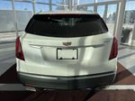 White[Crystal White Tricoat] 2024 Cadillac XT5 Rear of Vehicle Photo in Edmonton AB