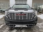 Black[Onyx Black] 2024 GMC Sierra 1500 Denali Front Vehicle Photo in Calgary AB