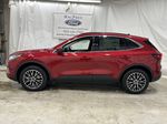 Red[Rapid Red Metallic Tinted Clearcoat] 2024 Ford Escape Left Side Photo in Dartmouth NS