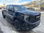 Black[Onyx Black] 2024 GMC Sierra 1500 Primary Photo in Canmore AB