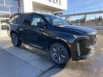 Black[Black Raven] 2024 Cadillac Escalade Sport Platinum Right Front Corner Photo in Calgary AB