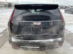 Black[Black Raven] 2024 Cadillac Escalade ESV Sport Platinum Rear of Vehicle Photo in Calgary AB