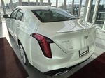 White[Crystal White Tricoat] 2024 Cadillac CT4 Left Rear Corner Photo in Edmonton AB