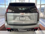 Silver[Argent Silver Metallic] 2024 Cadillac Escalade Rear of Vehicle Photo in Edmonton AB