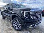 Black[Onyx Black] 2024 GMC Sierra 1500 Primary Photo in Edmonton AB