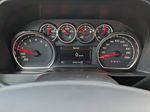 Other 2019 Chevrolet Silverado 1500 Left Rear Interior Door Panel Photo in Brandon MB