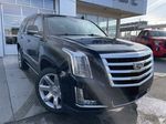 Black[Black Raven] 2017 Cadillac Escalade Premium Luxury Primary Photo in Calgary AB