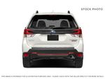 Green[Autumn Green Metallic] 2024 Subaru Forester Rear of Vehicle Photo in Lethbridge AB
