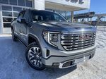 Gray[Sterling Metallic] 2024 GMC Sierra 1500 Denali Primary Photo in Calgary AB