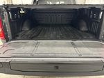 Gray[Carbonized Grey Metallic] 2021 Ford F-150 Trunk / Cargo Area Photo in Dartmouth NS