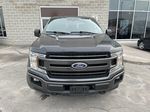 Gray[Magnetic] 2019 Ford F-150 Left Rear Interior Door Panel Photo in Brampton ON
