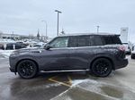 Gray[Anthracite Gray Metallic] 2025 INFINITI QX80 Left Side Photo in Edmonton AB