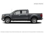 Gray[Carbonized Grey Metallic] 2025 Ford F-150 Left Side Photo in Dartmouth NS