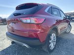 Red[Rapid Red Metallic Tinted Clearcoat] 2022 Ford Escape Right Rear Corner Photo in Dartmouth NS