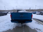 Blue[Velocity Blue] 2019 Ford F-150 XL Rear of Vehicle Photo in Calgary AB