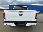 White[Oxford White] 2020 Ford F-150 Rear of Vehicle Photo in Camrose AB