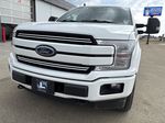 White[Oxford White] 2020 Ford F-150 Left Front Head Light / Bumper and Grill in Camrose AB