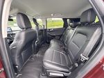 BRONZE FIRE 2021 Ford Escape Left Side Rear Seat  Photo in Dartmouth NS