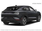 Black[Shadow Black] 2025 Ford Mustang Mach-E Right Front Corner Photo in Dartmouth NS