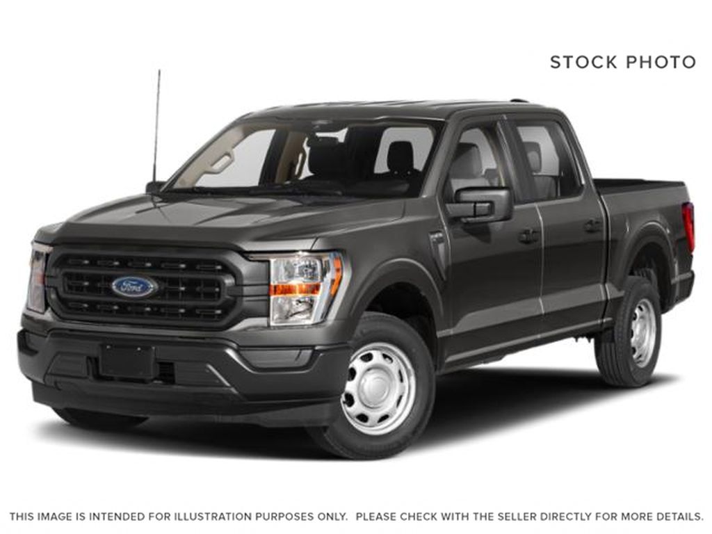 Gray[Carbonized Grey Metallic] 2022 Ford F-150